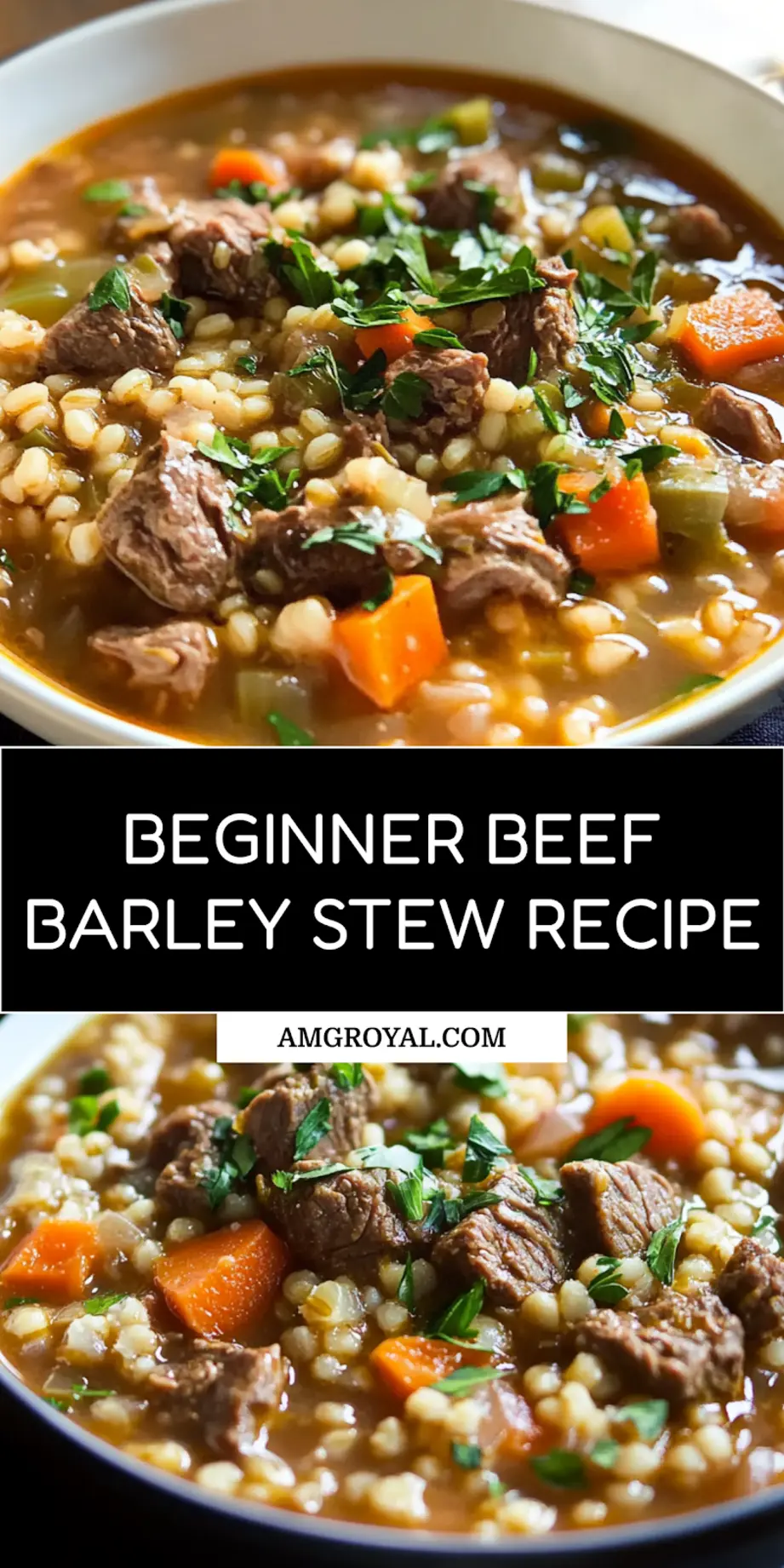 BEEF BARLEY STEW centered hero view, clean and uncluttered