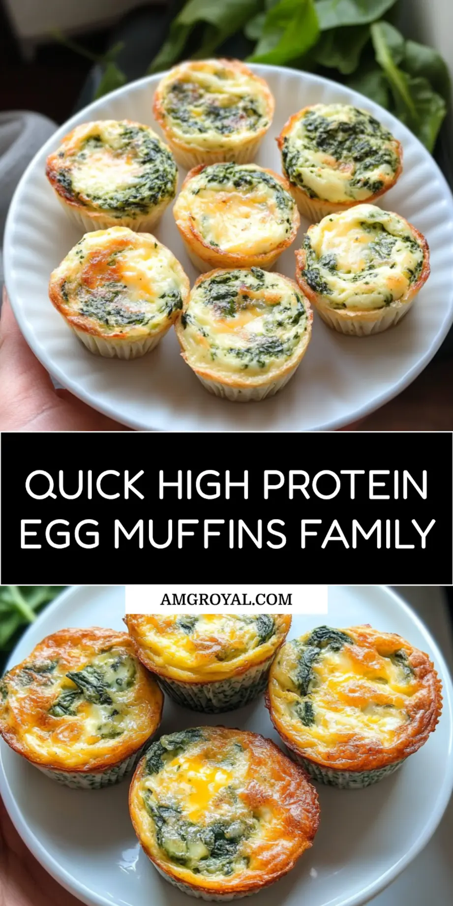 HIGH PROTEIN SPINACH AND CHEESE EGG MUFFINS centered hero view, clean and uncluttered