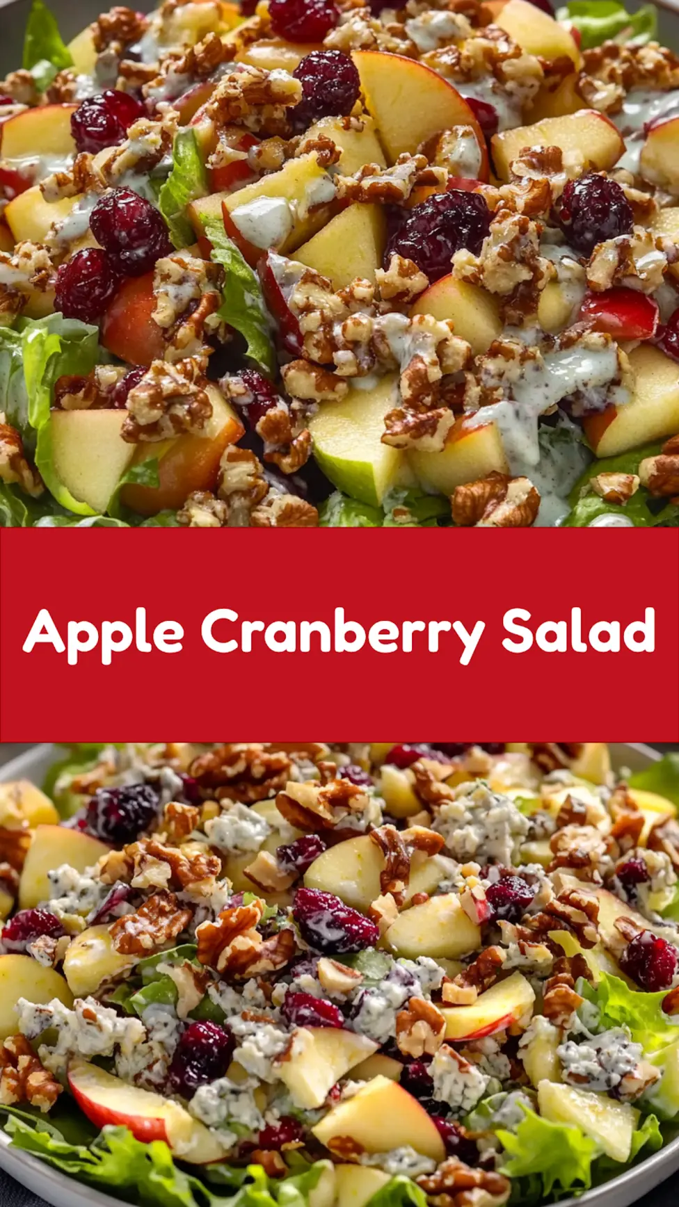 Apple Walnut Cranberry Salad centered hero view, clean and uncluttered pin