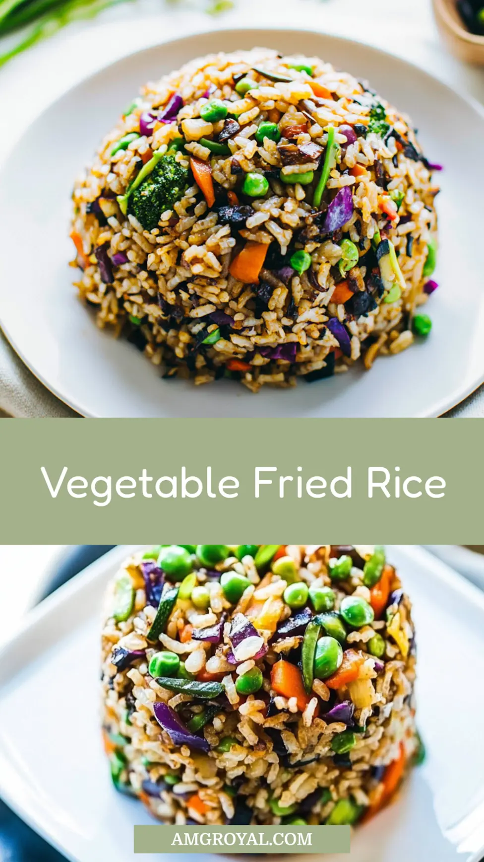 EXTRA VEGETABLE FRIED RICE centered hero view, clean and uncluttered