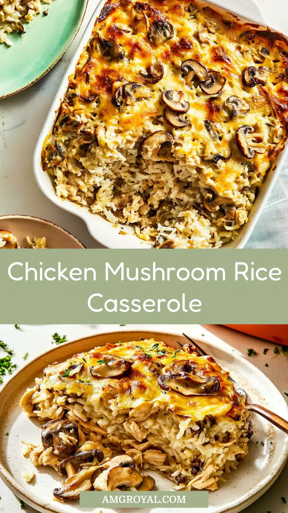 Rotisserie Chicken Mushroom and Rice Casserole Easy Weeknight Dinner 7 ROTISSERIE CHICKEN MUSHROOM AND RICE CASSEROLE centered hero view, clean and uncluttered