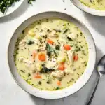 COPYCAT OLIVE GARDEN CHICKEN AND GNOCCHI SOUP centered hero view, clean and uncluttered