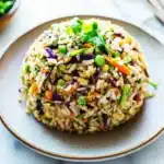 EXTRA VEGETABLE FRIED RICE centered hero view, clean and uncluttered