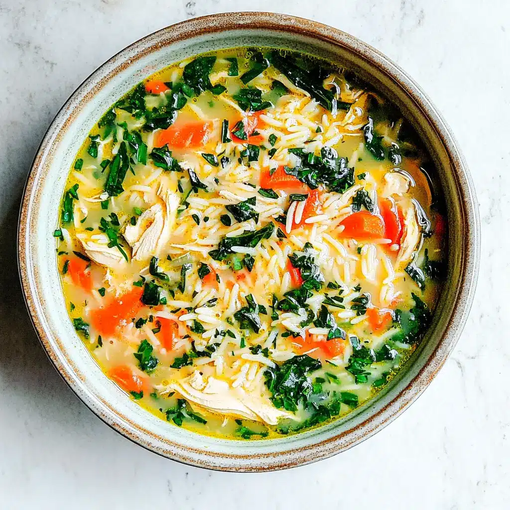 Spring Chicken Soup Lemon Orzo Cozy Simple Weeknight Dinner 6 CHICKEN SOUP LEMON ORZO recipe, served and ready to eat, easy homemade dinner