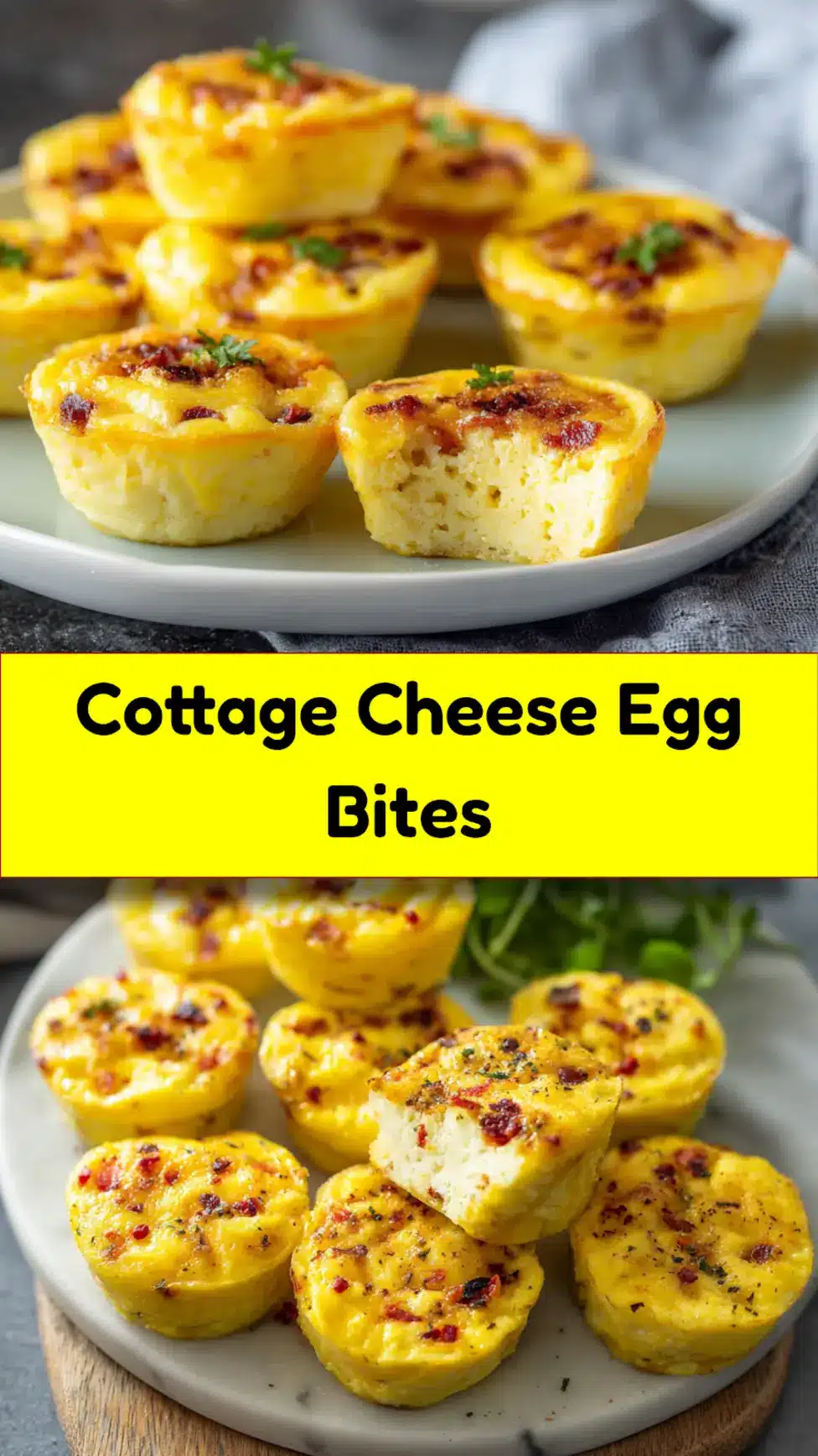 Cottage Cheese Egg Bites recipe, perfect for meal prep