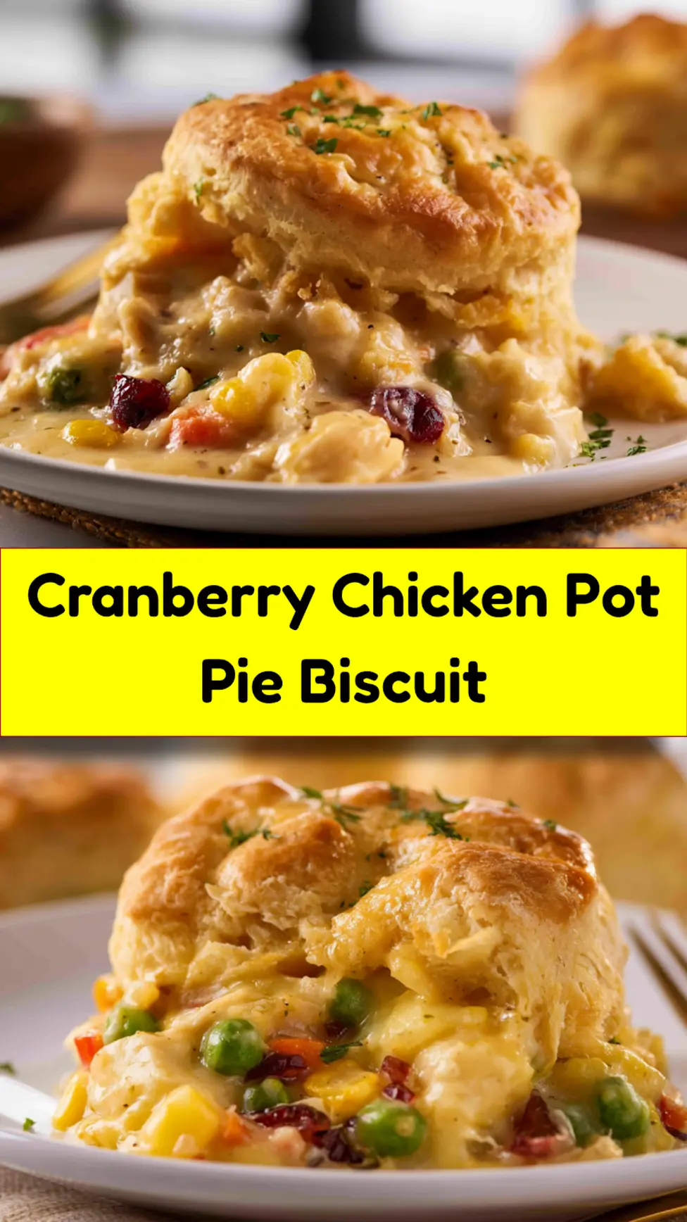 Cranberry Chicken Pot Pie Biscuit recipe, served and ready to eat, easy homemade dish_pin